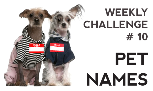 WEekly Challenge # 10 - Pet Names
